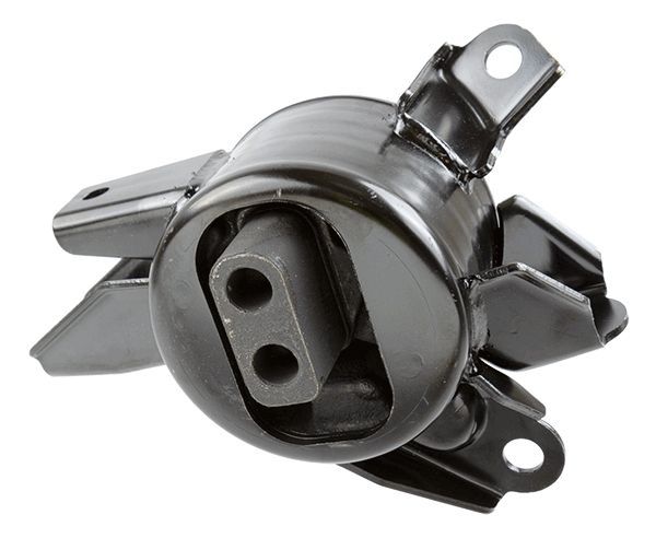 Lemförder 43253 01 -  -