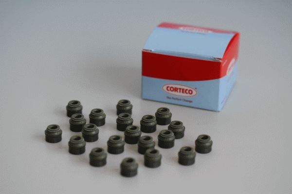 Corteco 19036121 -  -