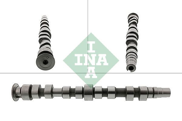 INA 428 0169 10 -  -