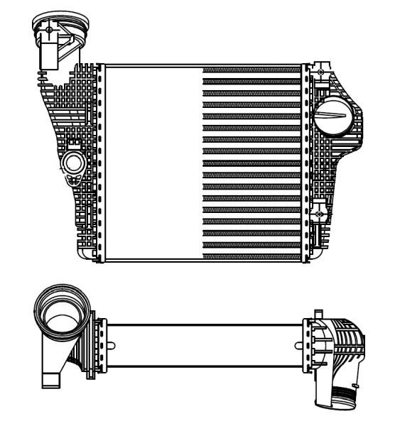 NRF 309025