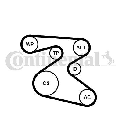 Contitech 6PK1873WP1 -  -