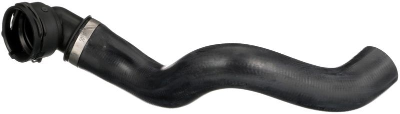 Gates 05-4836 -  -