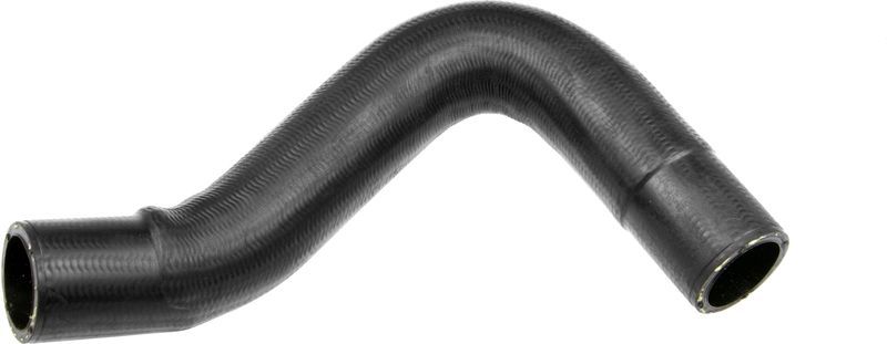 Gates 05-4441 -  -