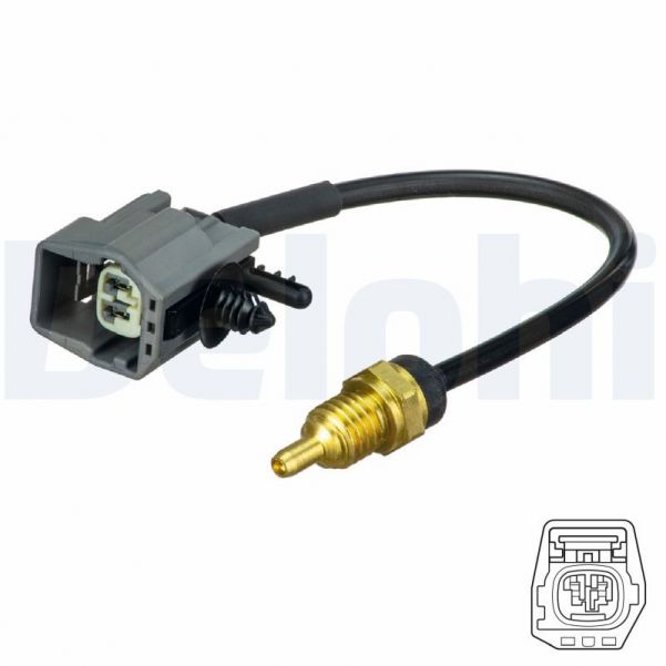 Delphi TS10492 -  -