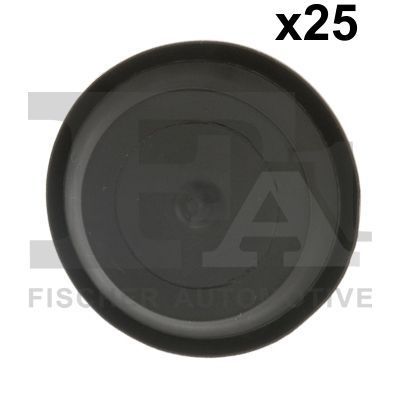 FA1 11-10024.25 -  -