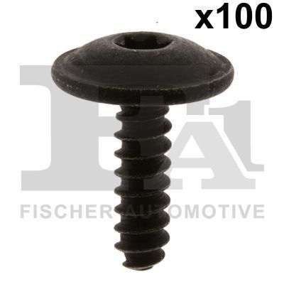 FA1 11-70001.100 -  -