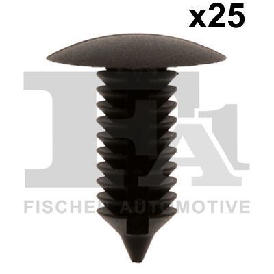 FA1 21-10024.25 -  -