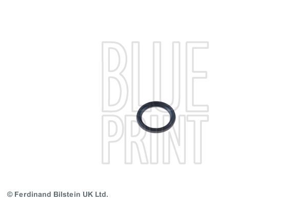 Blue Print ADA100106 -  -
