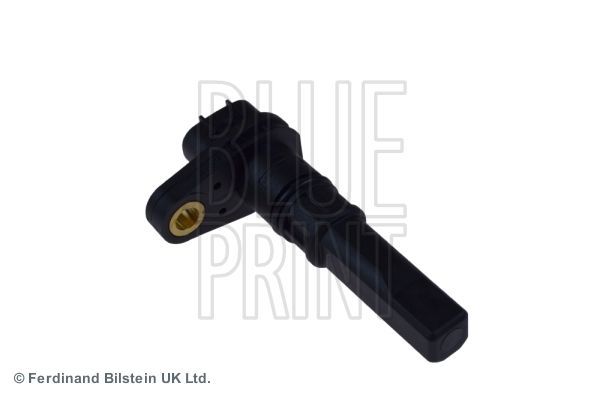 Blue Print ADG07278 -  -