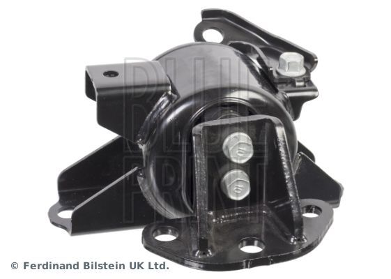 Blue Print ADG080324 -  -