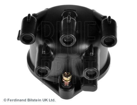 Blue Print ADN114224 -  -