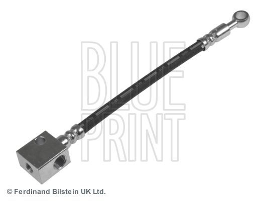 Blue Print ADN153904 -  -