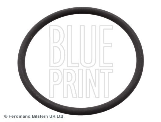 Blue Print ADN16144 -  -