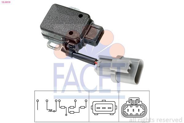 Facet 10.5019