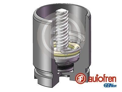 Autofren Seinsa D025441RK -  -