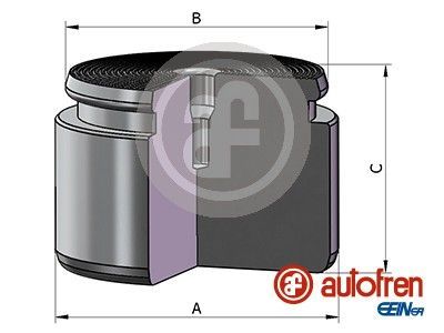 Autofren Seinsa D025625 -  -