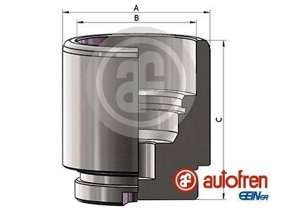 Autofren Seinsa D025641 -  -