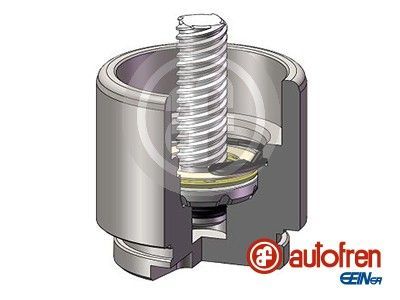 Autofren Seinsa D025641RK -  -