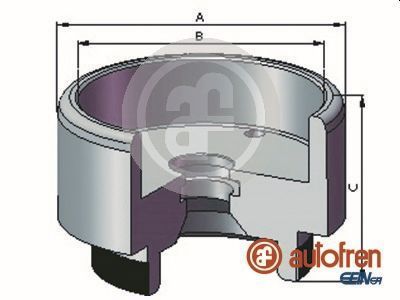 Autofren Seinsa D025721 -  -