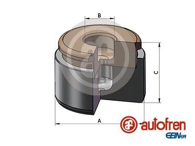 Autofren Seinsa D025731 -  -