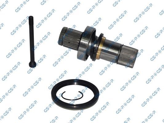 GSP 261191 -  -