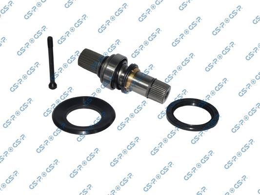 GSP 261237 -  -