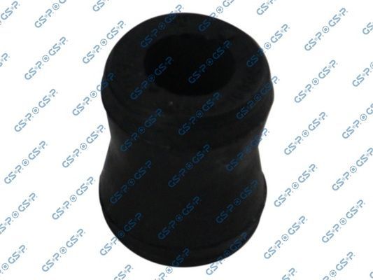 GSP 513079 -  -