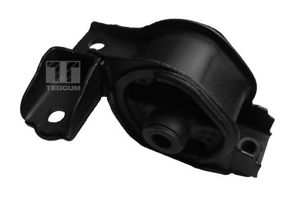 Tedgum 00263061