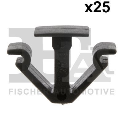 FA1 11-10028.25 -  -
