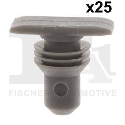 FA1 11-40099.25 -  -