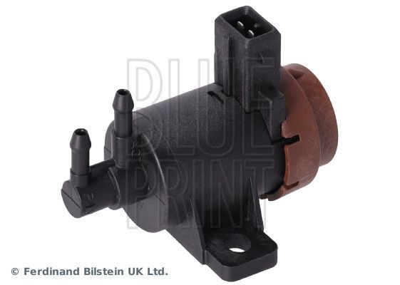 Blue Print ADN17239 -  -