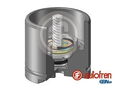 Autofren Seinsa D025256LK -  -