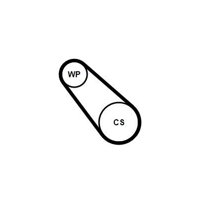 Contitech 3PK725 ELAST WP1 -  -