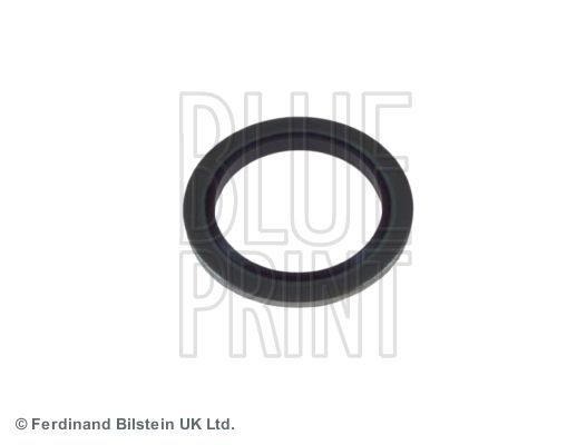 Blue Print ADL140102 -  -