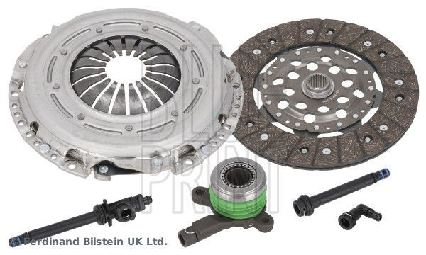 Blue Print ADBP300239