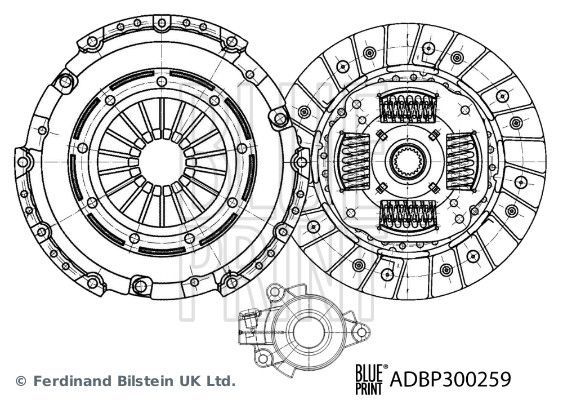 Blue Print ADBP300259