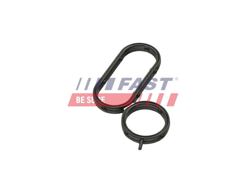 Fast FT48944 -  -