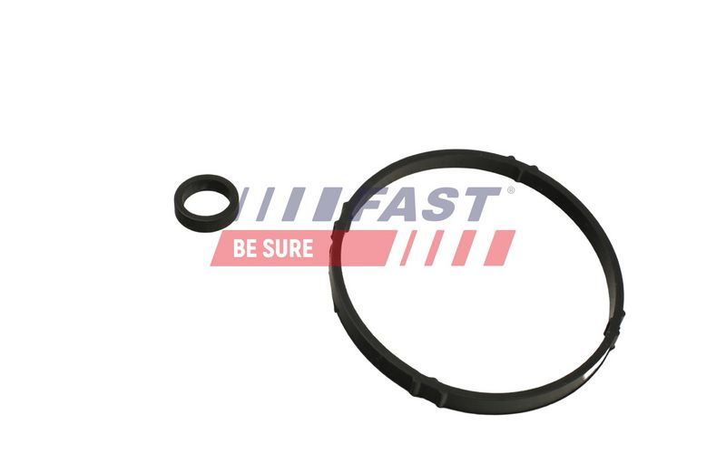 Fast FT48952 - Tesnenie olejového chladiča -