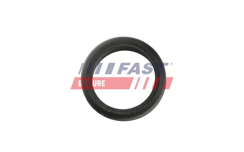 Fast FT48953 -  -