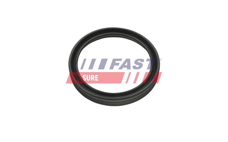 Fast FT48956 -  -