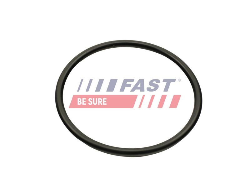 Fast FT49460 Fast FT49460