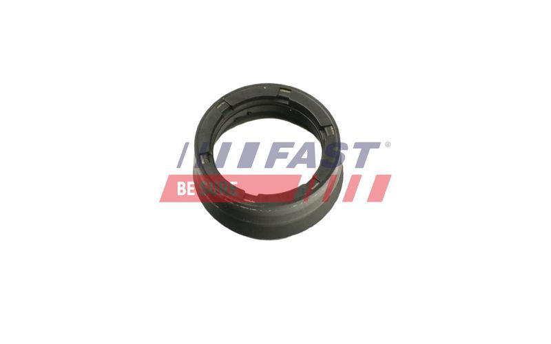 Fast FT49656 -  -