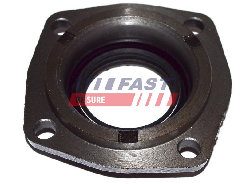 Fast FT49838 -  -