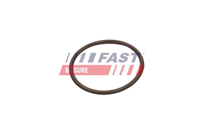 Fast FT49933 -  -