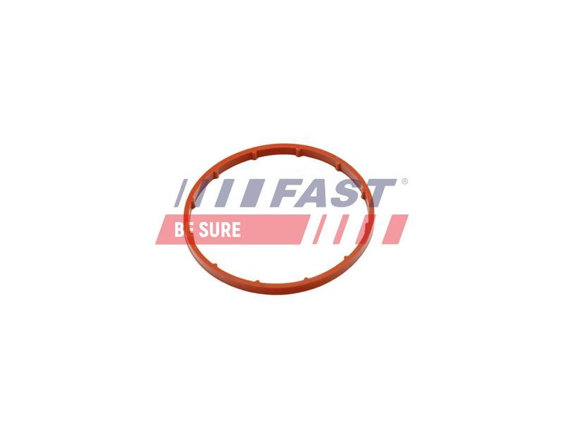 Fast FT50701 -  -