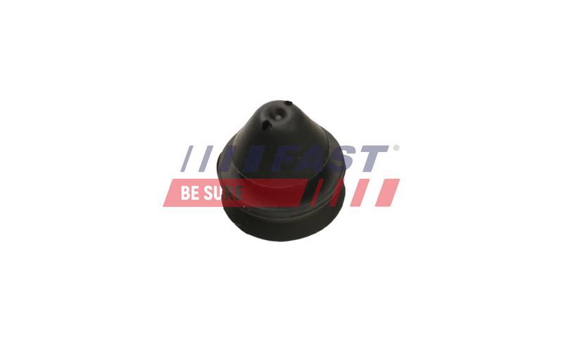 Fast FT55811 -  -