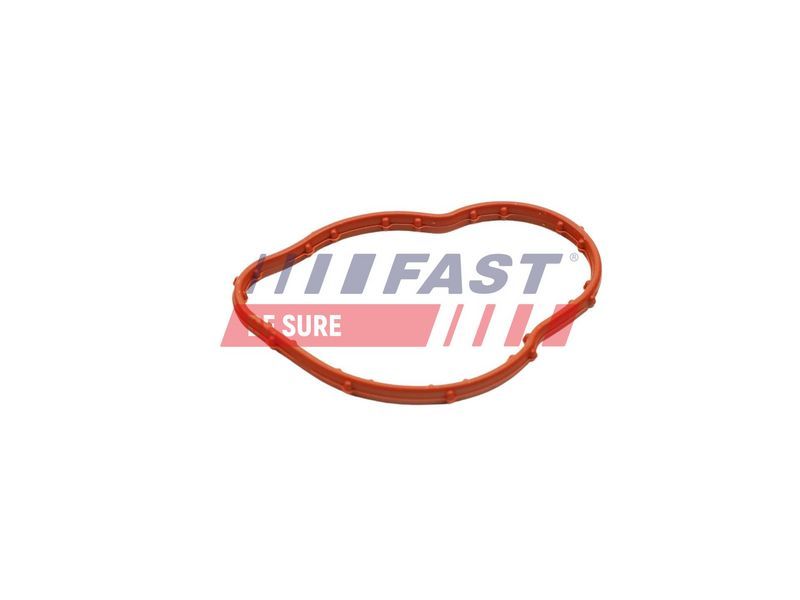 Fast FT58305 - Tesnenie termostatu -