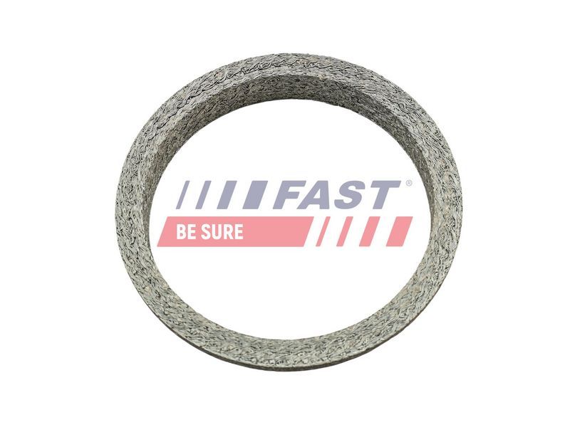 Fast FT84818 -  -
