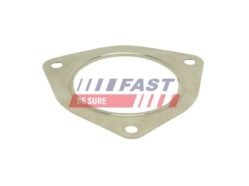 Fast FT84821 - Tesnenie -