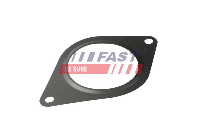 Fast FT84828 - Tesnenie -